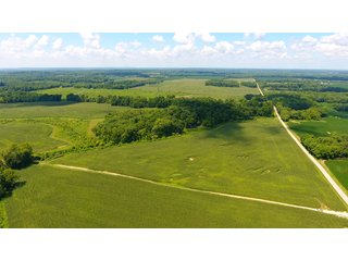 Property photo 39 - LAND AUCTION - 1,193+/- ACRES IN 14 TRACTS IN PIKE & GIBSON COUNTY, INDIANA